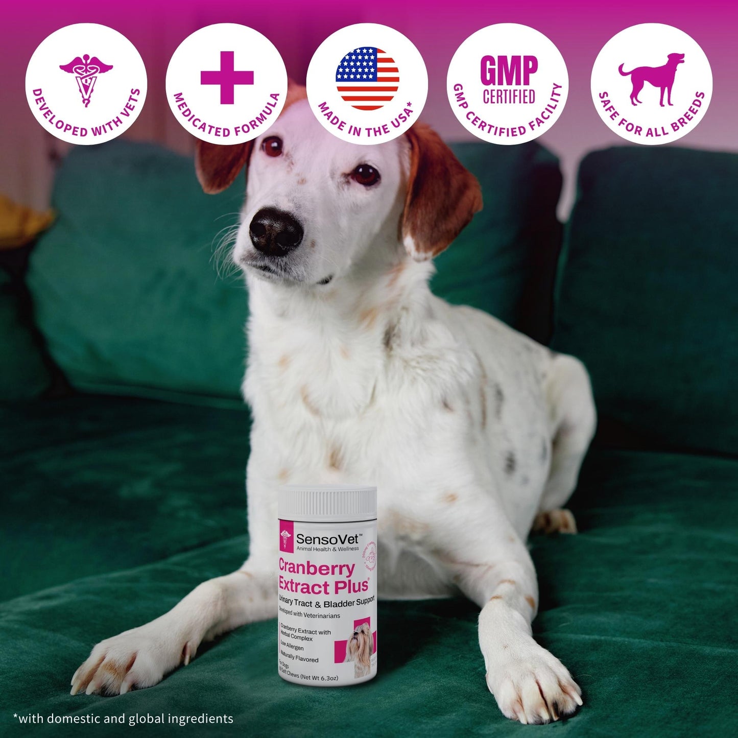 Cranberry Extract Plus Soft Chews for Dogs