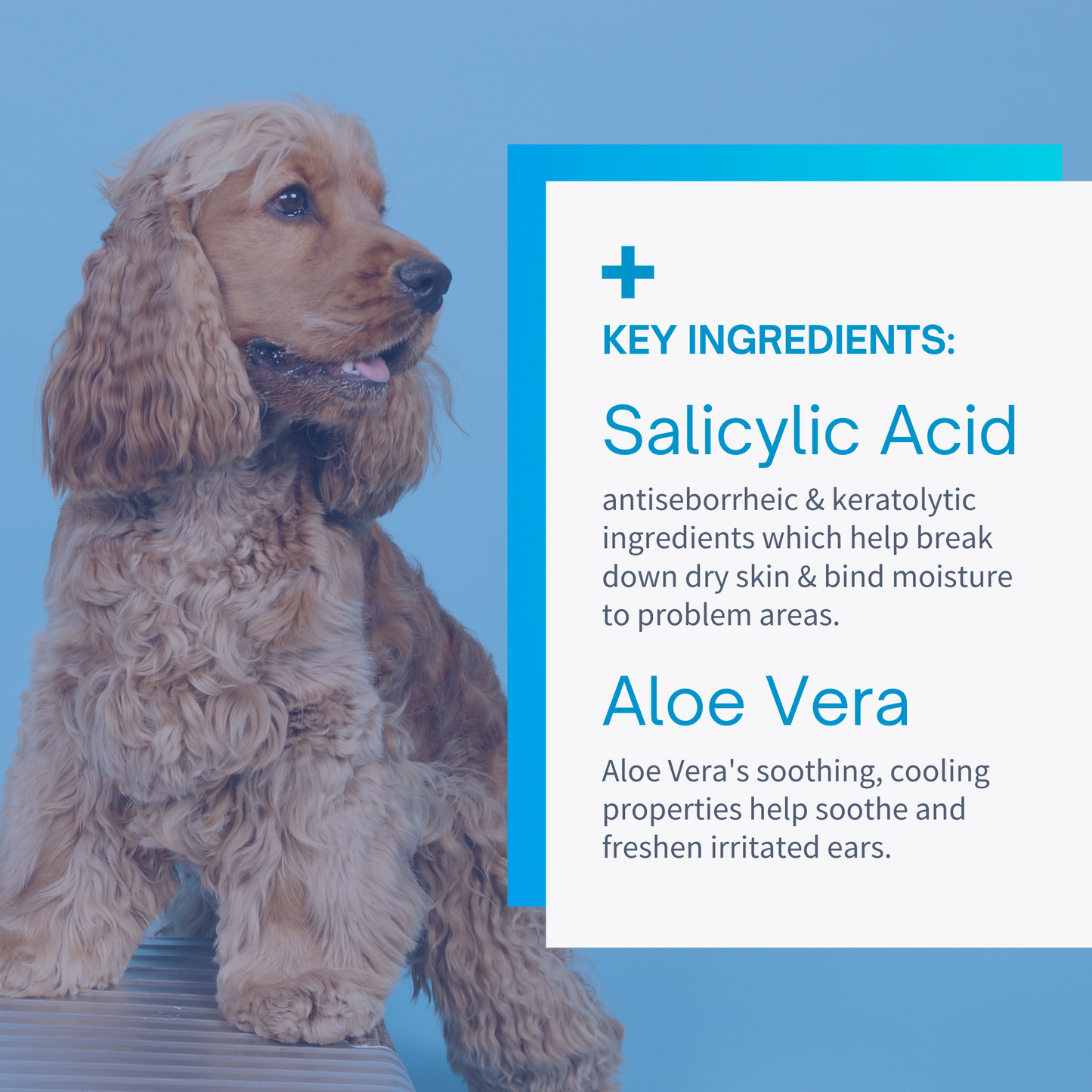 Ear Wipes for Dogs & Cats - 100 Wipes