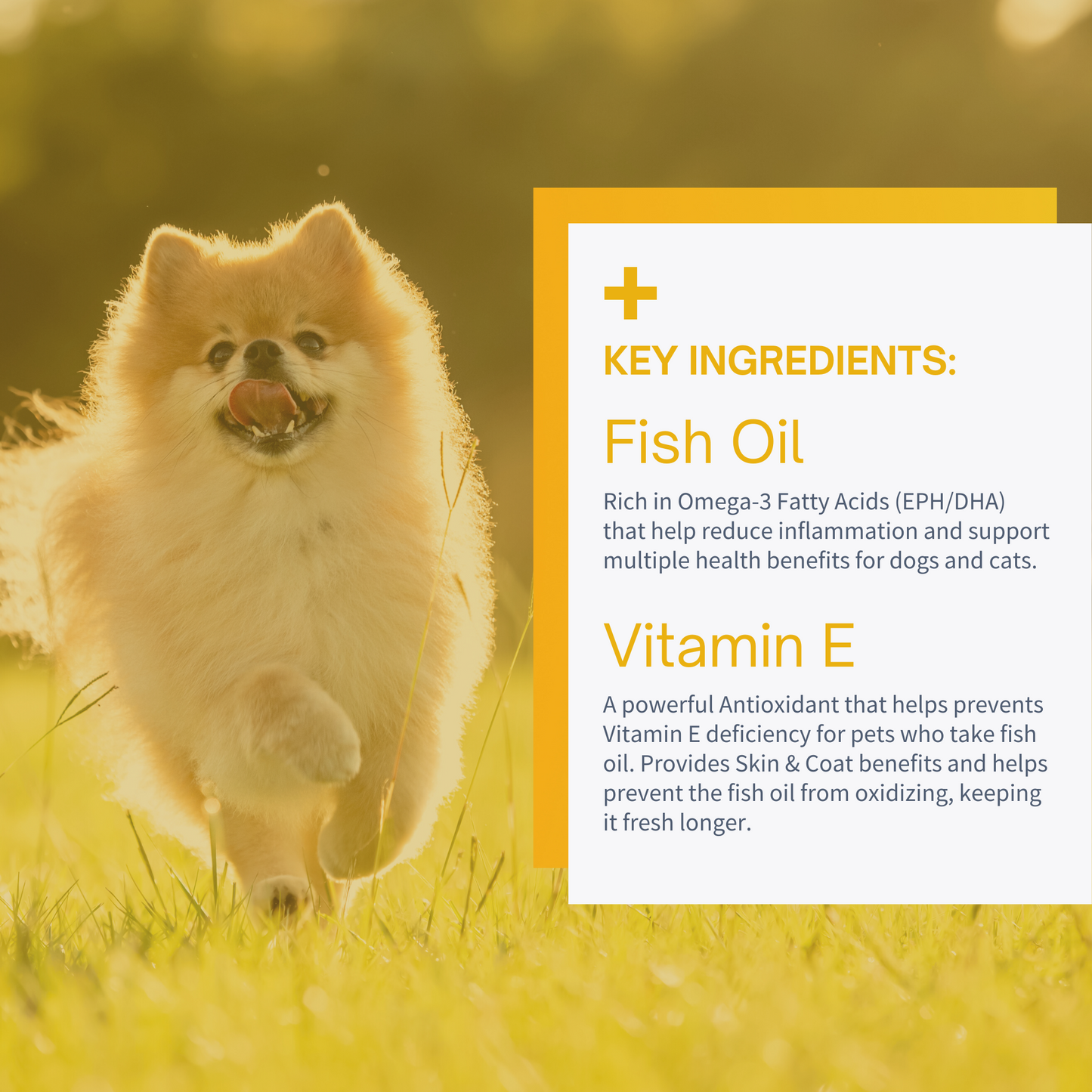 Advanced Omega-3 Softgel for Dogs & Cats - Fish Oil with Vitamin E - 60 Softgels