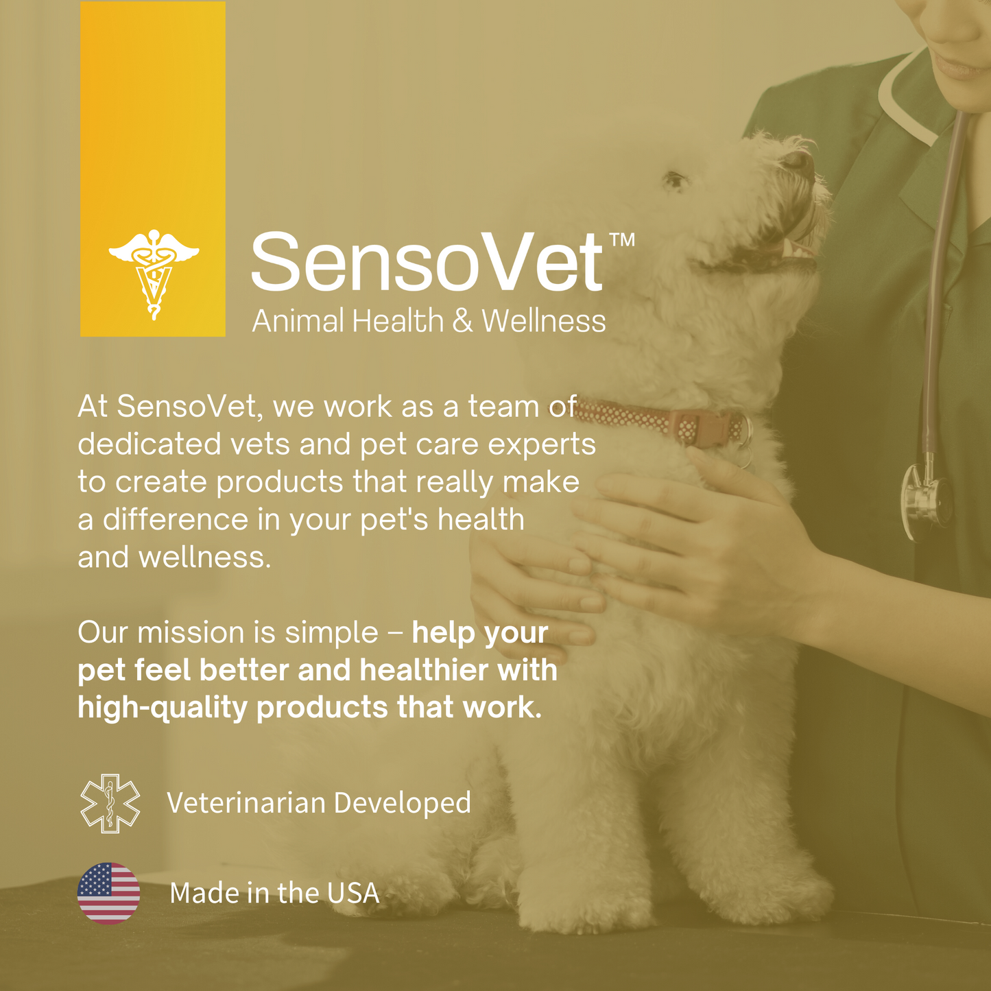 Advanced Omega-3 Softgel for Dogs & Cats - Fish Oil with Vitamin E - 60 Softgels