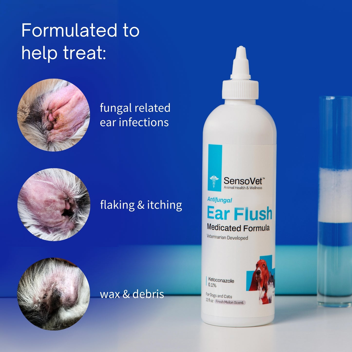 Medicated Ear Flush for Dogs & Cats - 8oz