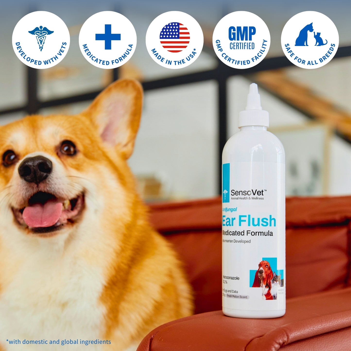 Medicated Ear Flush for Dogs & Cats - 8oz