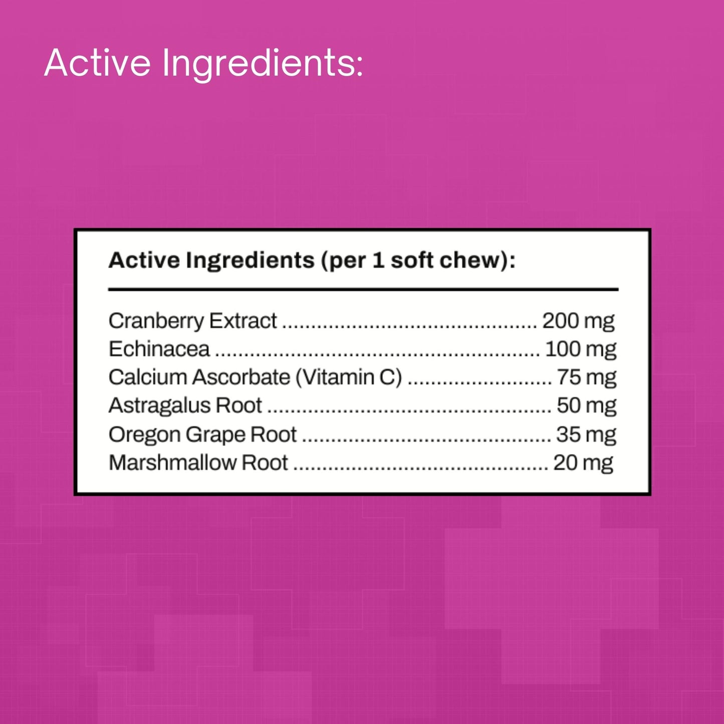 Cranberry Extract Plus Soft Chews for Dogs
