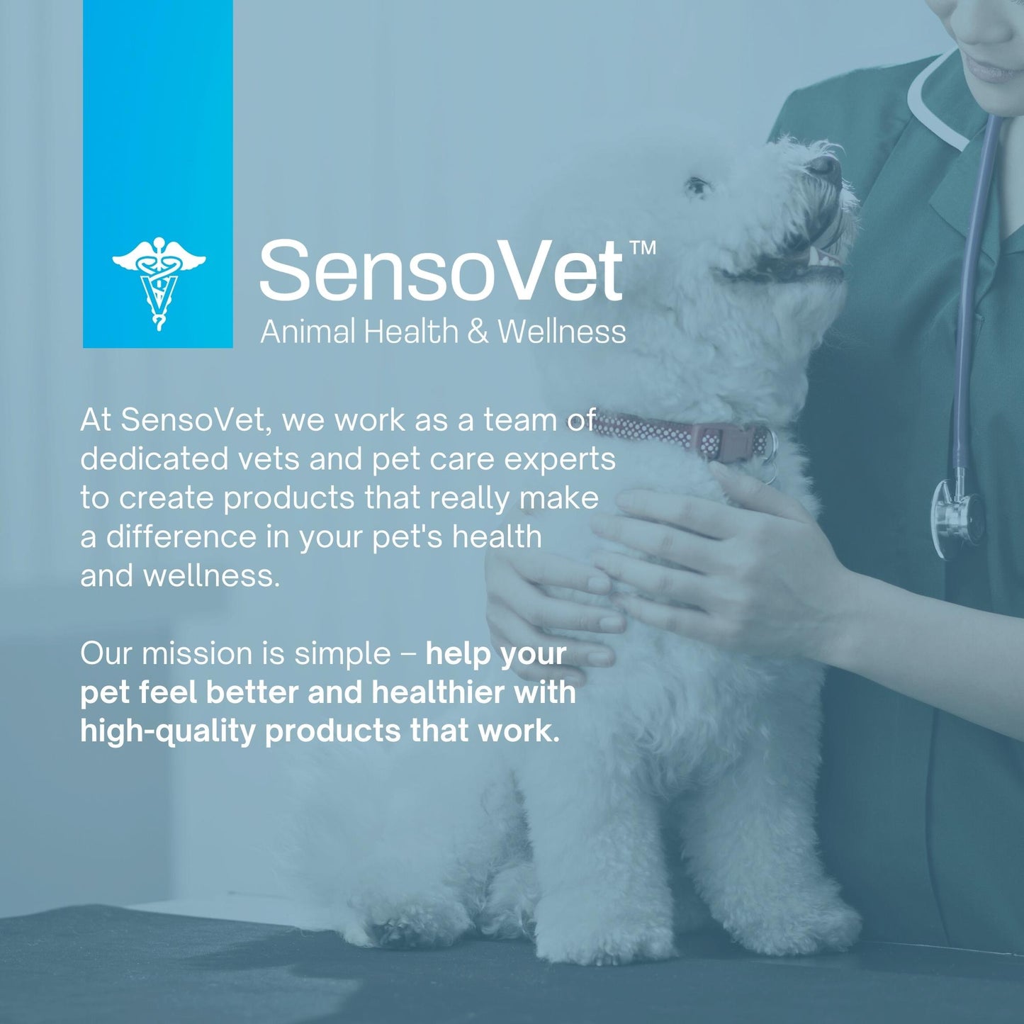 Stool Eating Deterrent Coprophagia Soft Chews for Dogs