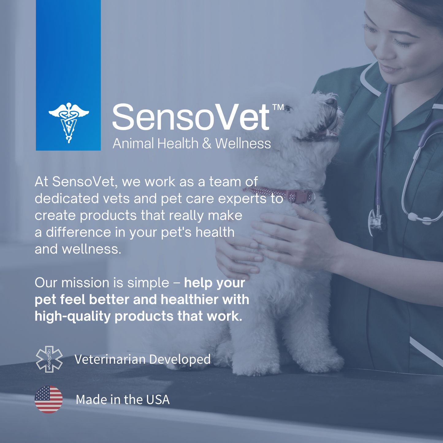 SensoVet Story