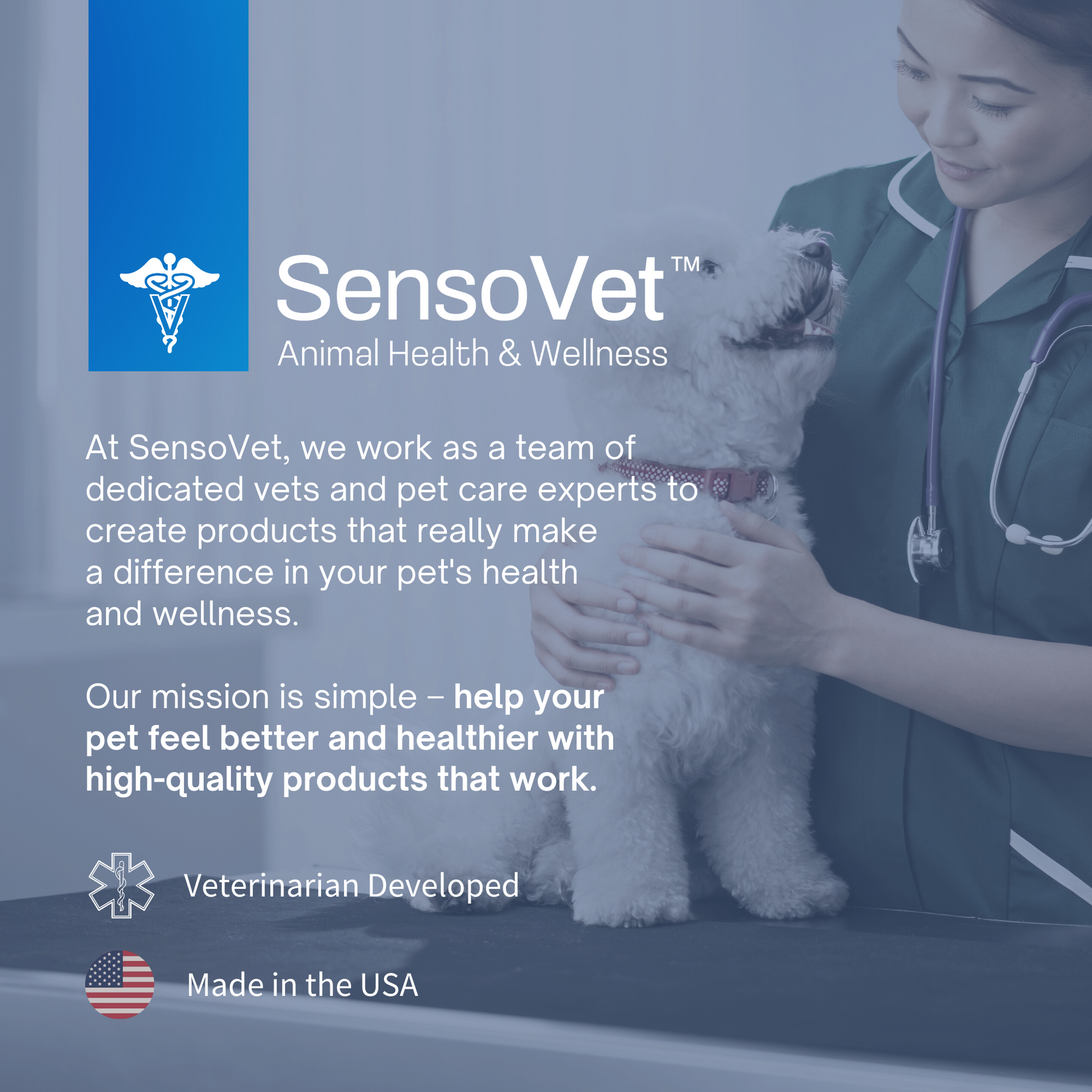 SensoVet Story