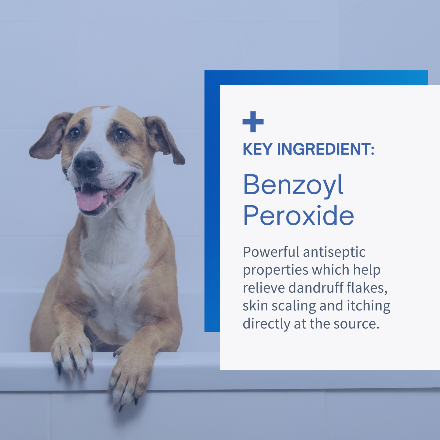 SensoVet Benzoyl Peroxide Shampoo for dogs and cats