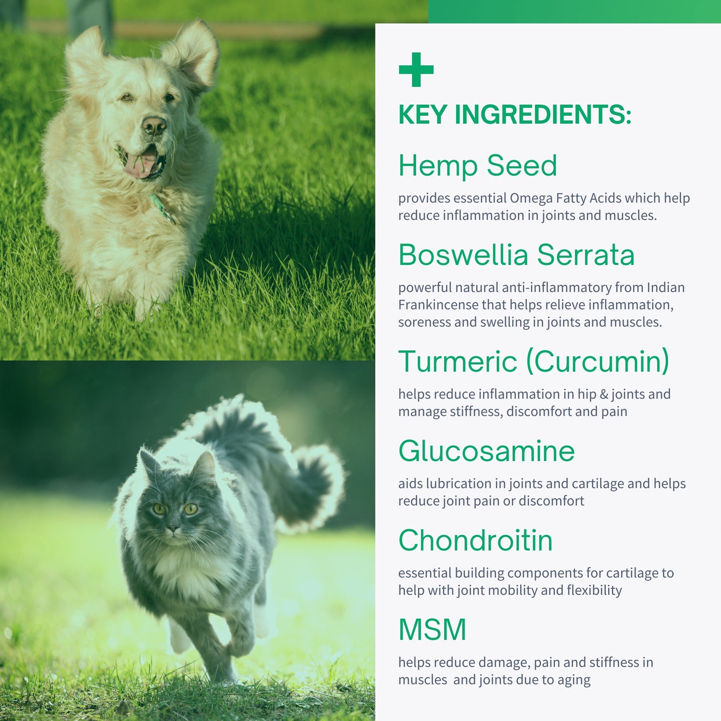 Hip & Joint Advanced Hemp Chews for Dogs & Cats - 60 Soft Chews