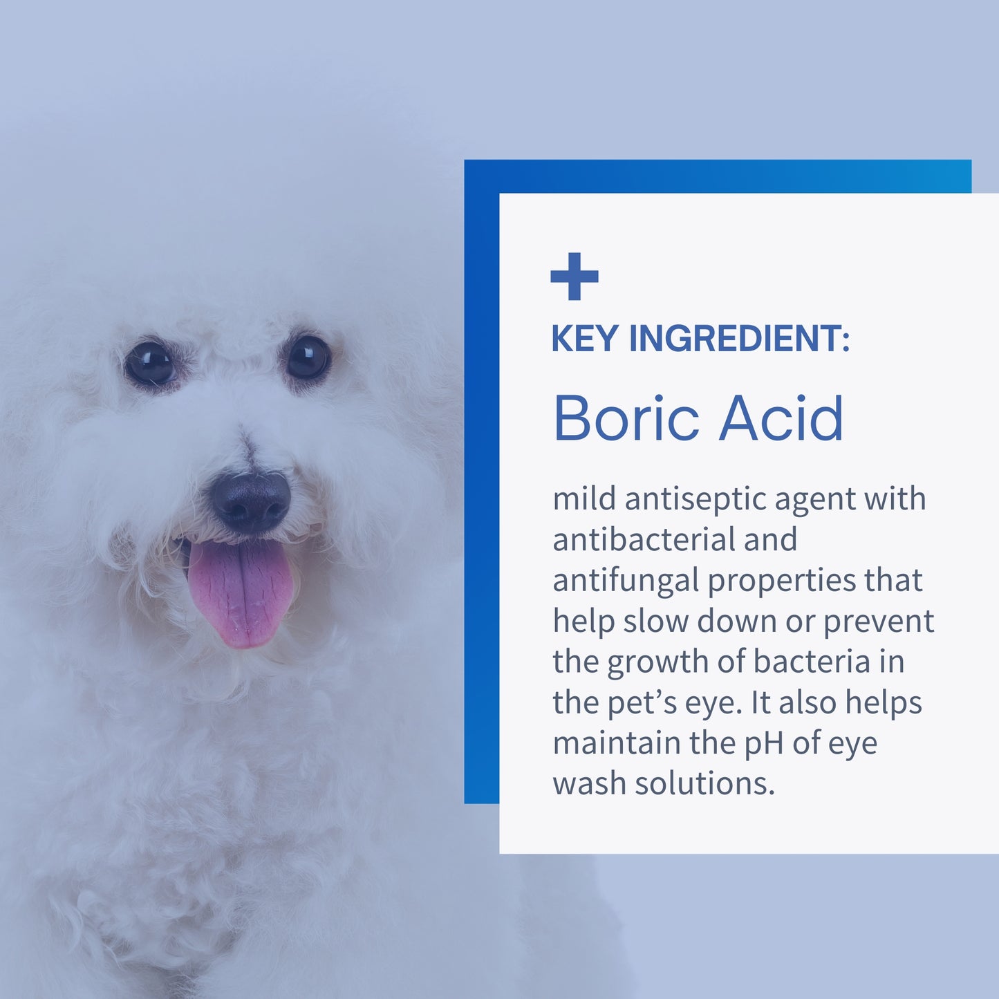 Eye Drops for Dogs with Boric acid - 4oz