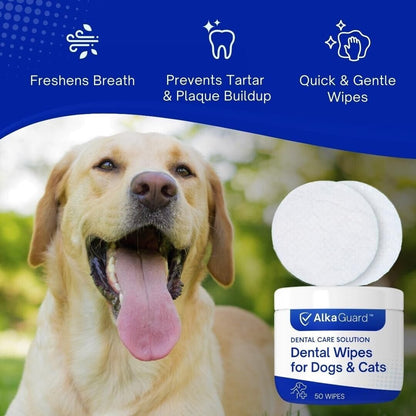 Dental Wipes for Dogs & Cats