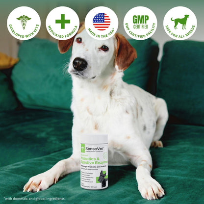 Advanced Probiotics & Digestive Enzymes Soft Chews for Dogs
