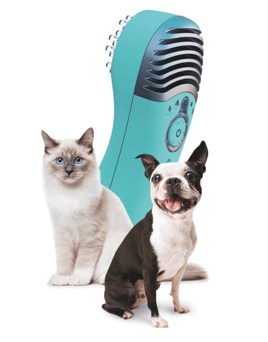 MedcoVet Luma Red Light Therapy for Dogs & Cats