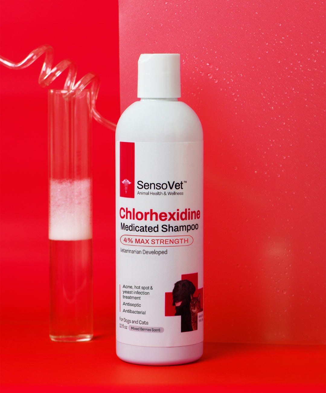 Max chlorhexidine clearance shampoo for dogs