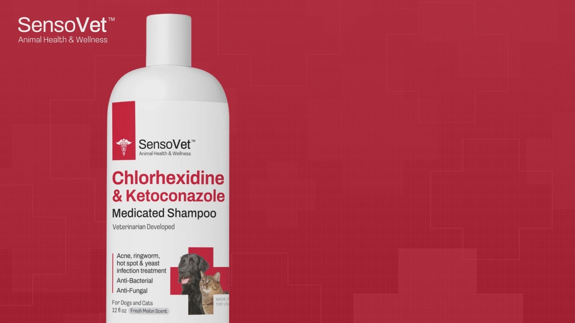 Hexazole shampoo best sale for dogs