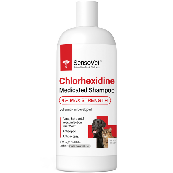 Chlorhexiderm shampoo best sale