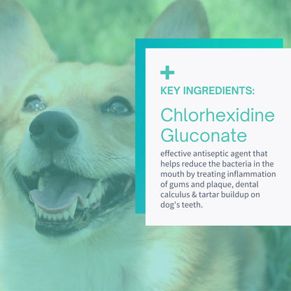 Plaque & Tartar Control Dental Wipes for Dogs - 50 Wipes