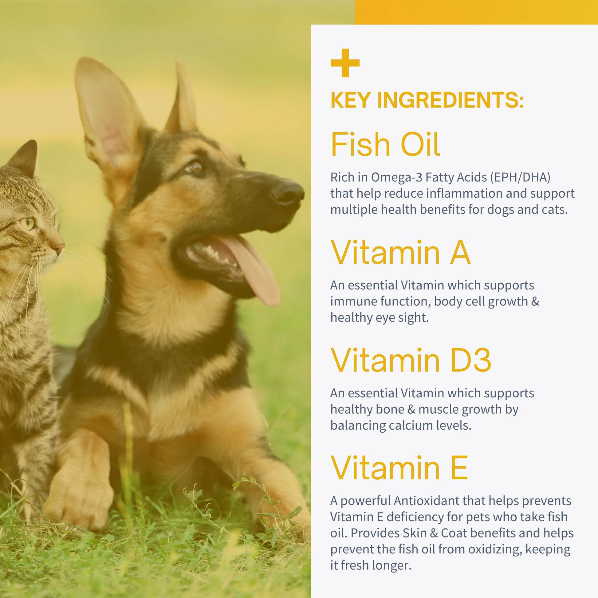 Best fish oil top for german shepherd