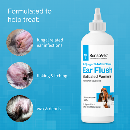 Medicated Ear Flush for Dogs & Cats - 12oz