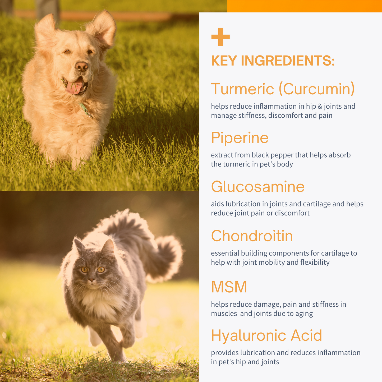Hip & Joint Advanced Turmeric Blend for Dogs & Cats - 60 Chewable Tablets