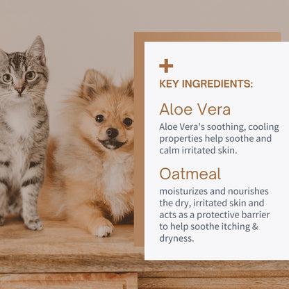 Oatmeal & Aloe Shampoo for Dogs and Cats - 12oz