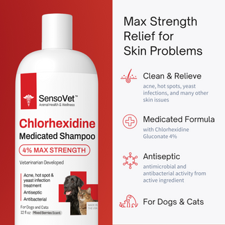 Chlorhexidine 4% Max Strength Shampoo Medicated Shampoo for Dogs & Cat ...