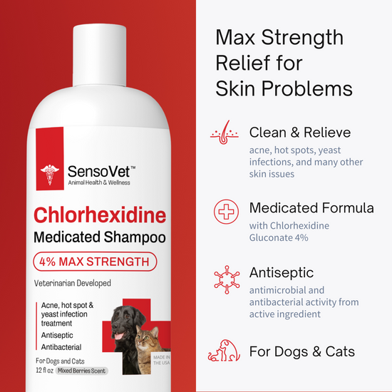 Chlorhexidine 4 Max Strength Shampoo Medicated Shampoo for Dogs & Cat