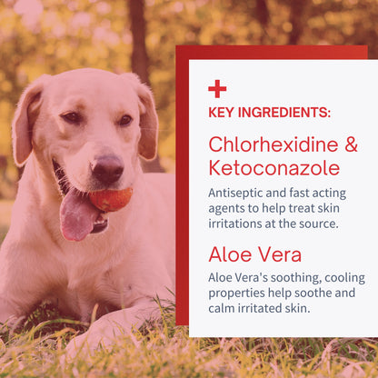 Chlorhexidine Large Wipes for Dogs & Cats - 60 Wipes
