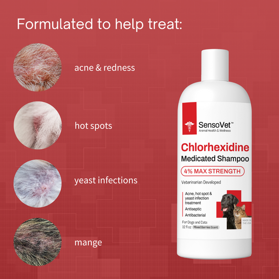 Chlorhexidine 4 Max Strength Shampoo Medicated Shampoo for Dogs & Cat