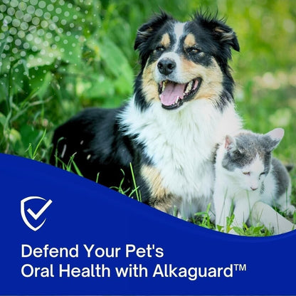 Dental Wipes for Dogs & Cats