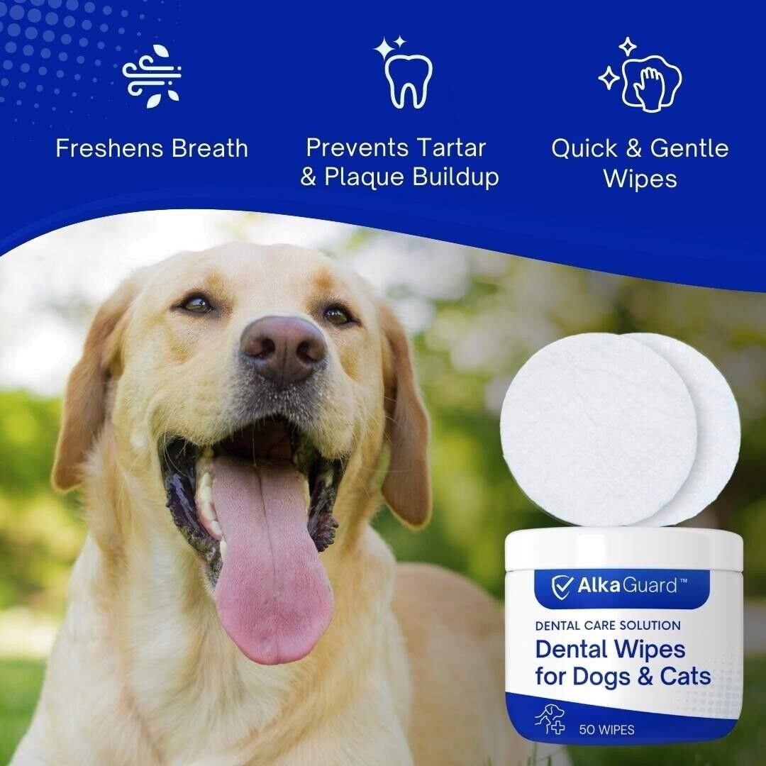 Dental wipes for outlet dogs