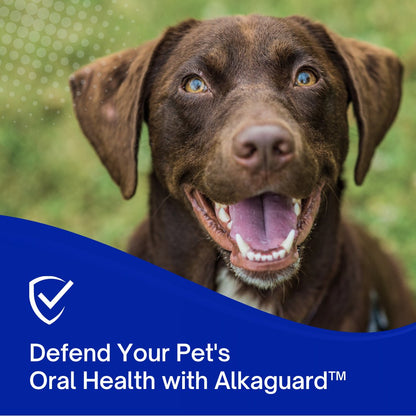 Dental Water Additive for Dogs & Cats